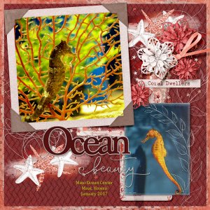 Ocean Beauty - Maui Aquarium