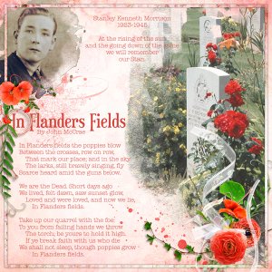 Flanders Fields