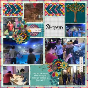Seaquest Fun - 1 of 4