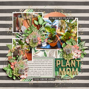 Plant Life