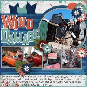 Wind Damage