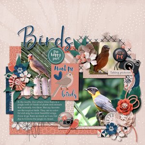 Birds