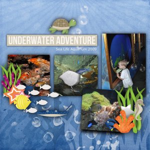 Sea Life Aquarium 2009