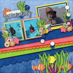 Rocky the Fish