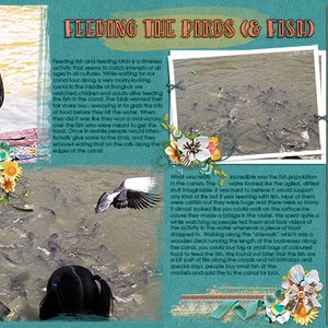 Feeding Fish and Fowl