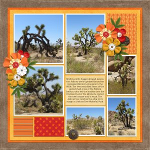 Joshua Tree
