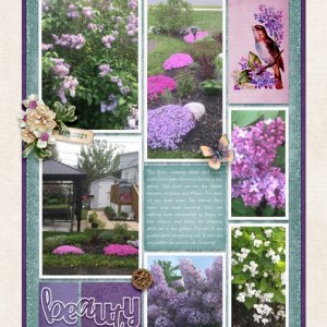 2021-06-1 Template Challenge Spring