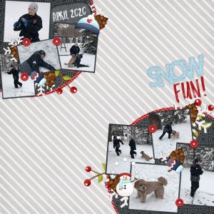 Snow Fun