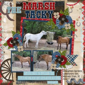 The Marsh Tacky
