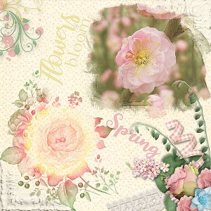 Flowers Bloom