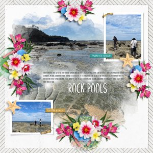 Rock Pools