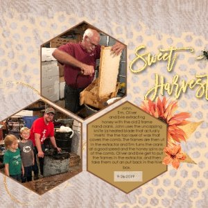 Honey Sweet Harvest