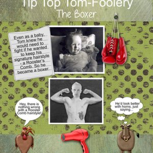 Tip Top Tom-Foolery - The Boxer