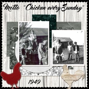 Chickens on the farm