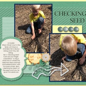 Checking Seed