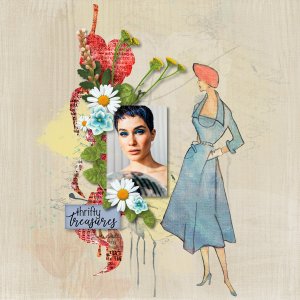 PSSilke- Thrifty Treasures