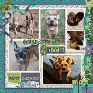 Happy Birthday Chase and Zoey
