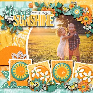 Always Bring Your Own Sunshine