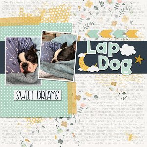 Lap Dog