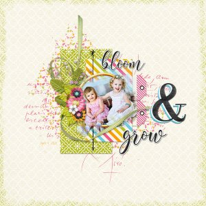 Bloom and Grow