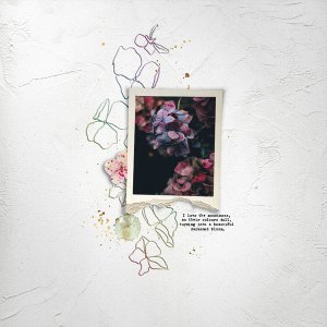BTM17_fr