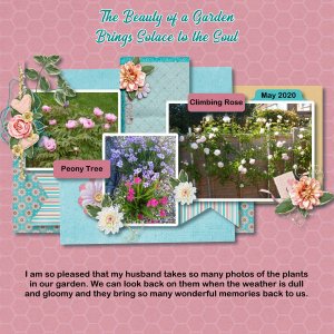 The beauty of a garden brings solace to the soul