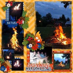 Roasting Marshmallows