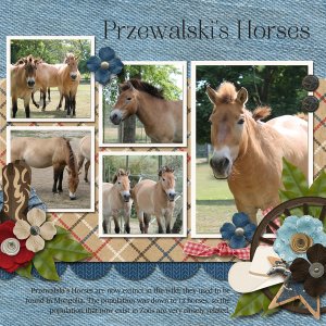 Wild Horses