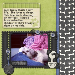 Ruff Life