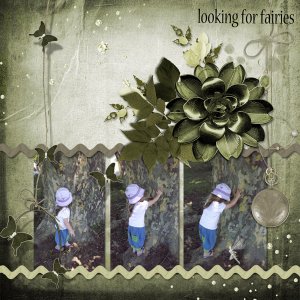 looking for fairies