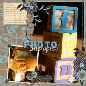 Photo Interupted