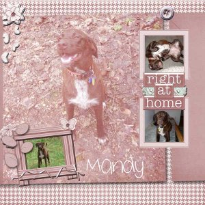 gs March 2012 Scraplift