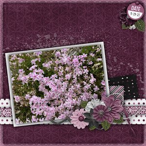 Flowers +#127800; +#127802;