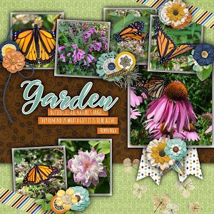 Butterflies and Flowers