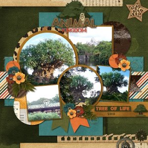 Animal Kingdom