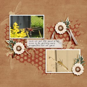 Dragonflies