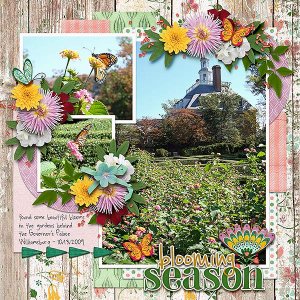 blooming season