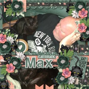 Max