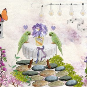 Love Birds