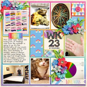 2021 Week 23