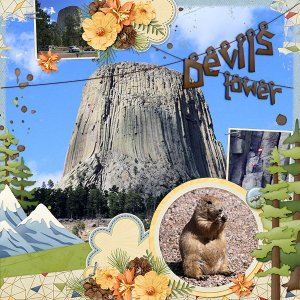 Devils Tower
