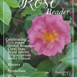 The Rose Reader