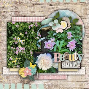 Spring Flowers 2021