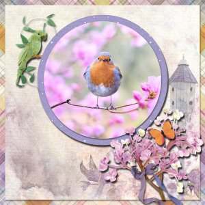 Pretty Birdie