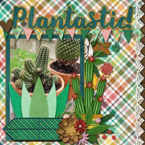 aimeeh_cactuslover_tcotcactus_600