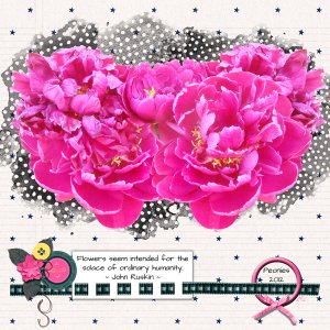 Solace (peonies)-June mini kit challenge