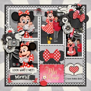 minnie fan