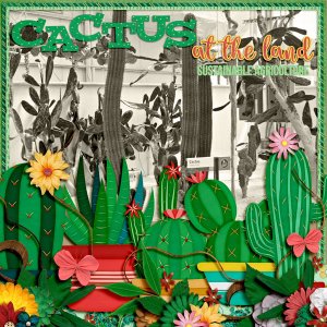 The land: cactus