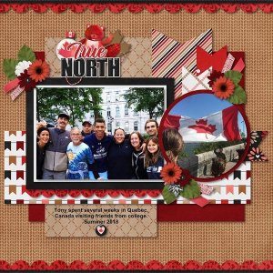 True North