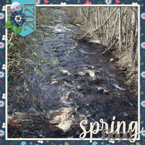 Spring Flood